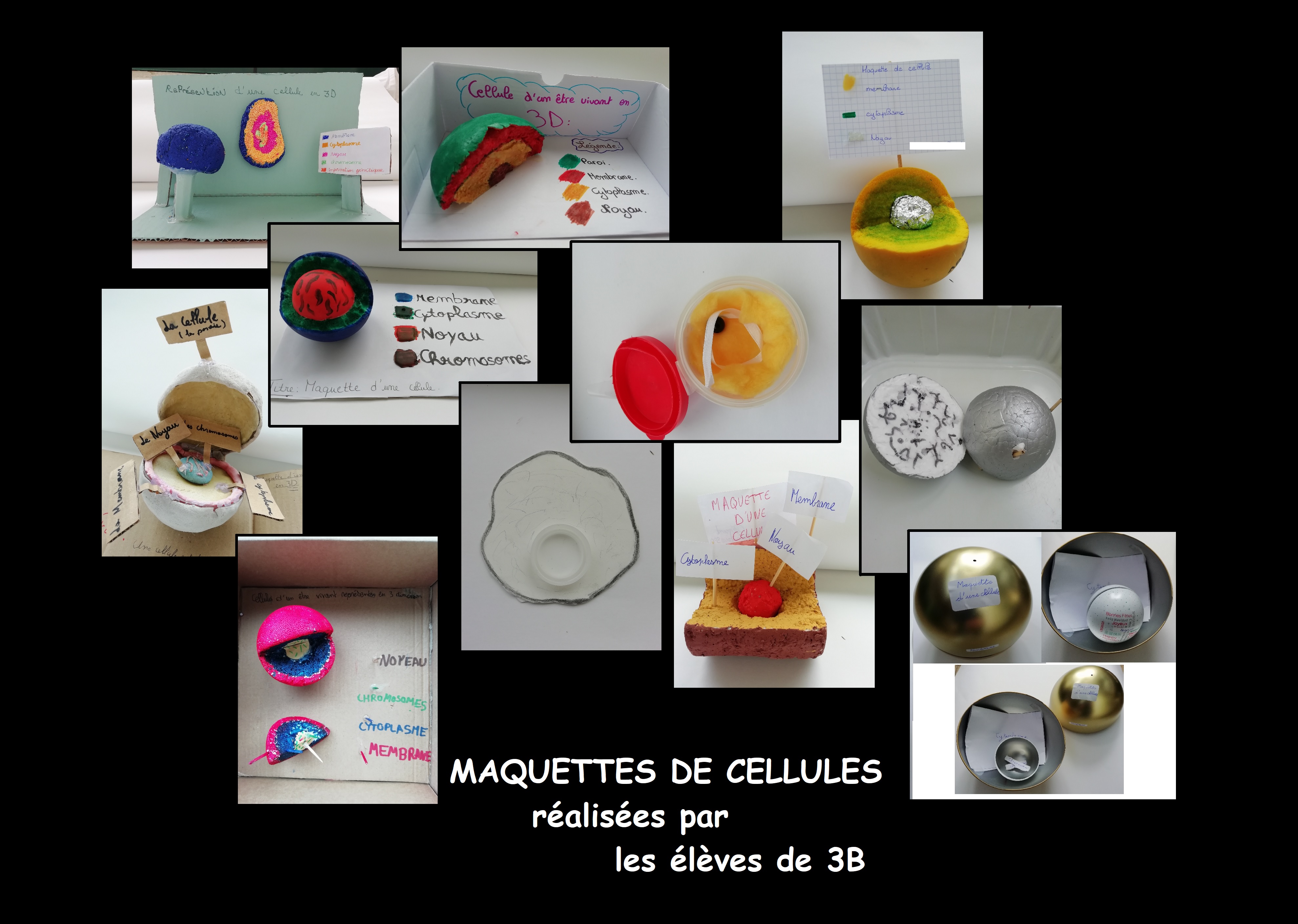 Collège La Bruyère - 118 bis chaussée Jules César, 95520 OSNY